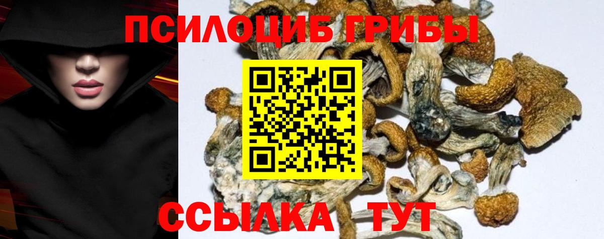 Псилоцибиновые грибы прущие грибы Кизляр