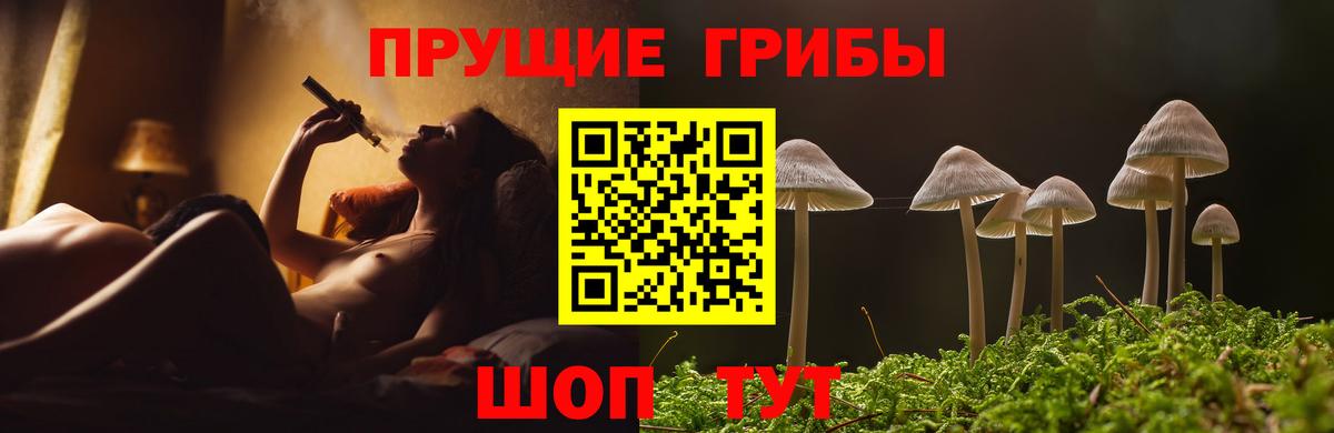 Кизляр  Псилоцибиновые грибы Psilocybe  Псилоцибиновые грибы ЛСД  Вход с VPN 
